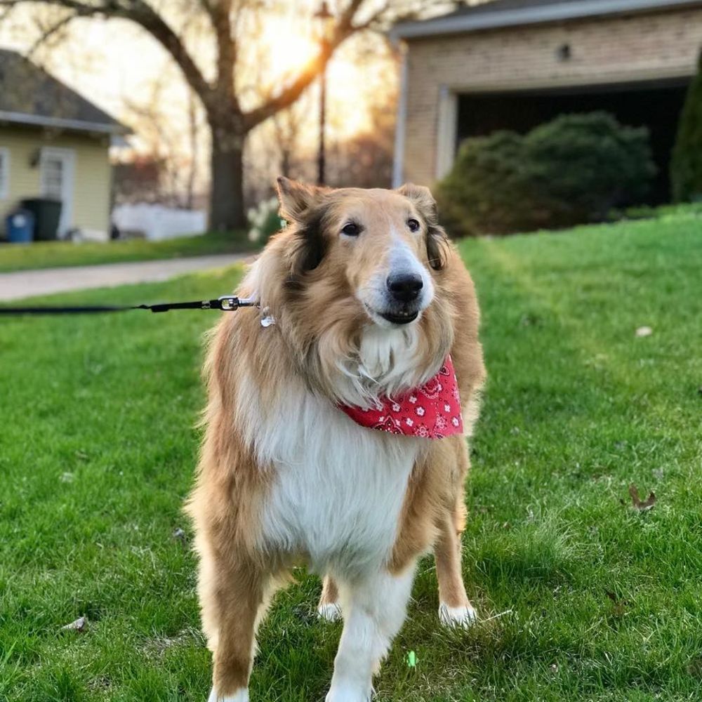 Meet your Posher, Christie